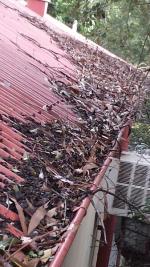Gutter cleaning prevents roof leaks (image)