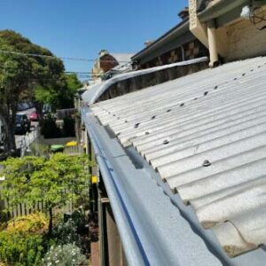 Gutter Clean Brunswick - After (image)