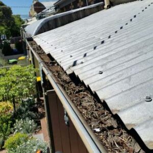 Gutter Clean Brunswick - Before (image)