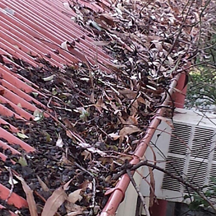 Gutter Clean Needed - Yallambie (image)