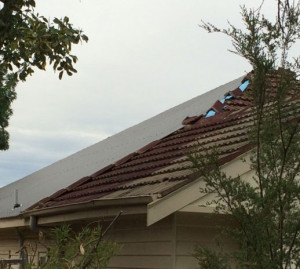 Tile to Colorbond Roof Replacement in progress - Box Hill North (image)
