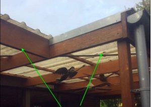 Pergola Roof Replacement - before (image)