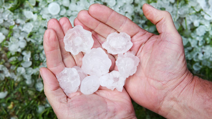 Hail Damaged Polycarbonate | Melbourne | Roofrite