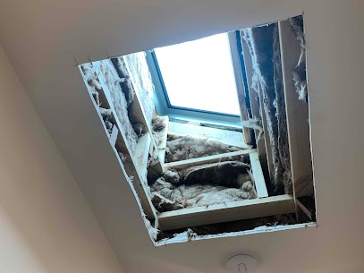 Velux Blinds Installed - Melbourne (image)